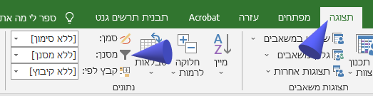 5 טיפים בנושא עבודה עם MS Project. מאמר מאת: טל לבנון