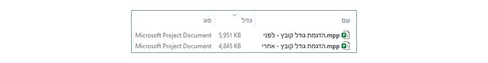 טיפים חשובים ל- MS Project. מאמר מאת: טל לבנון